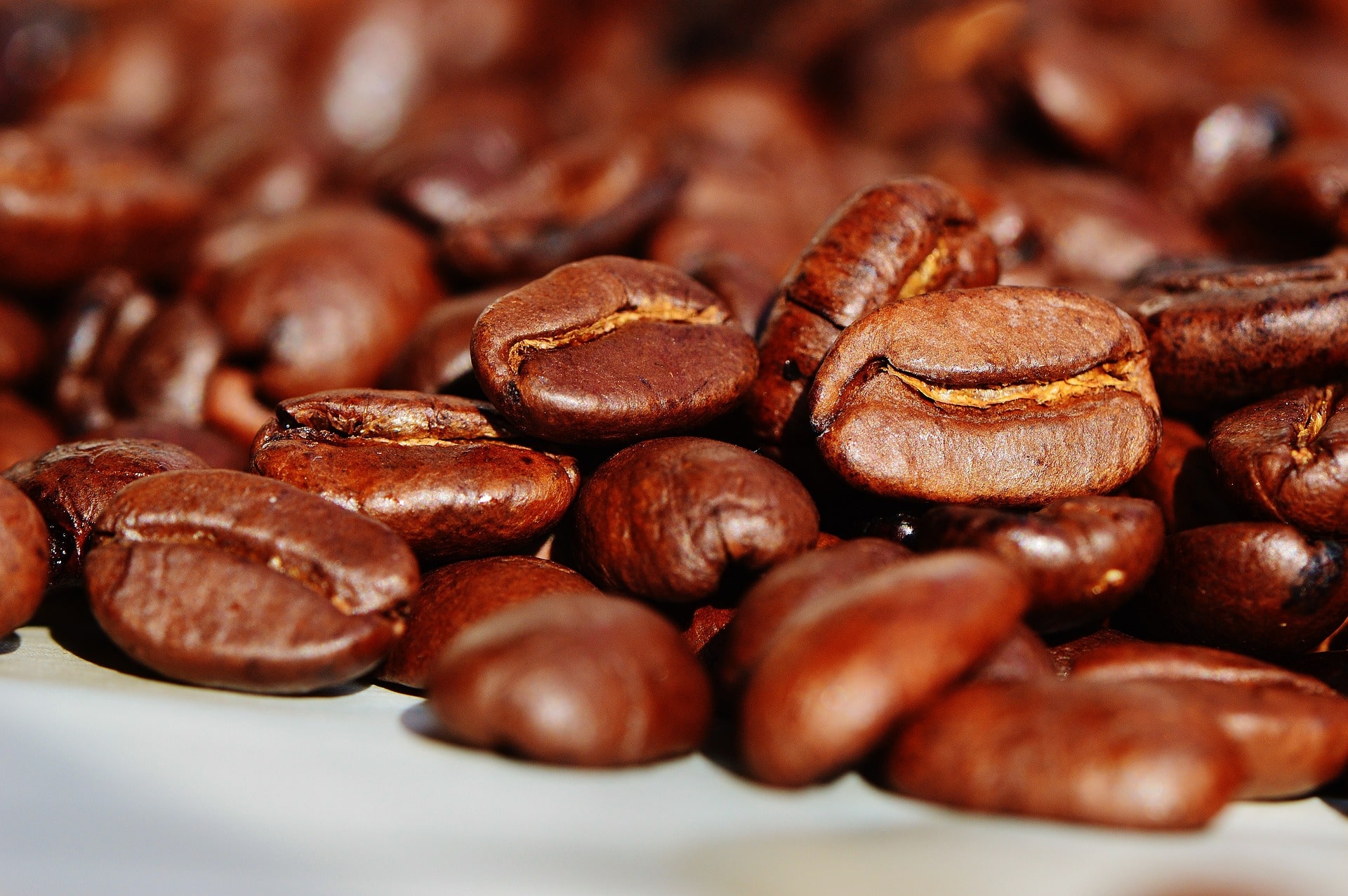 Leia mais sobre o artigo Biossensor Pode Identificar Toxina Produzida por Fungos nos Grãos de Café