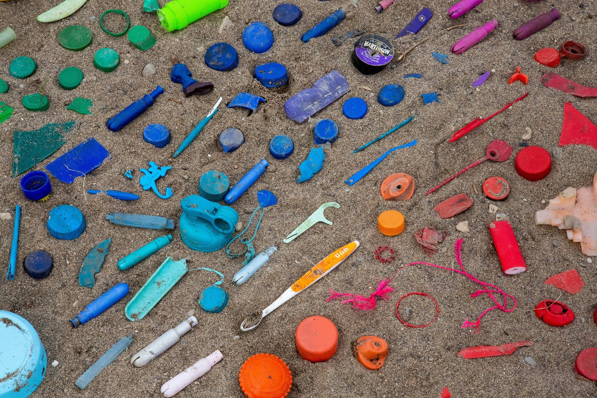 Leia mais sobre o artigo Quanto Menores os Fragmentos de Plástico, Maior o Dano Ambiental